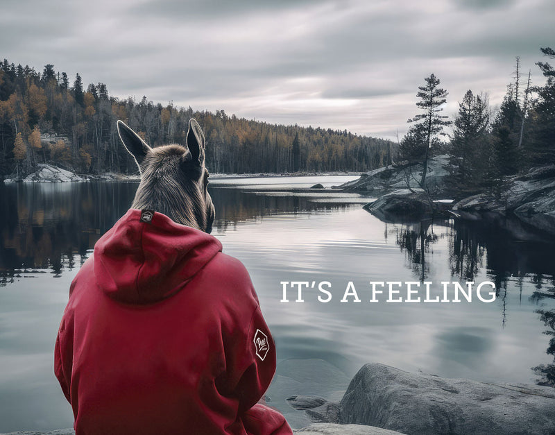 The Moose in the Hoodie