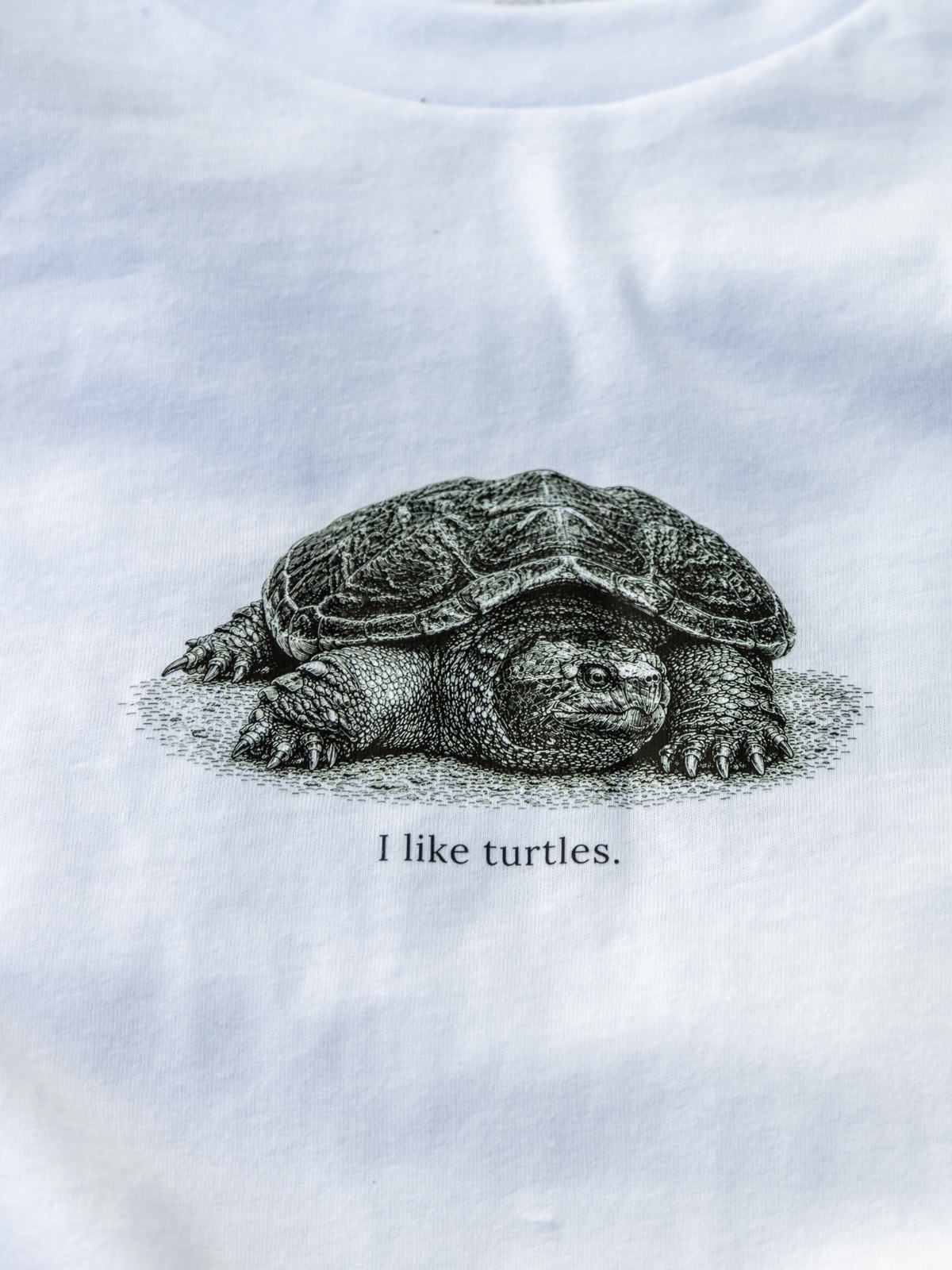 I Like Turtles Tee - Detail