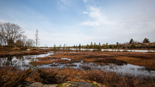 The Walk With Him - Pure Muskoka