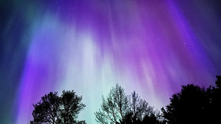 Aurora Borealis - Pure Muskoka