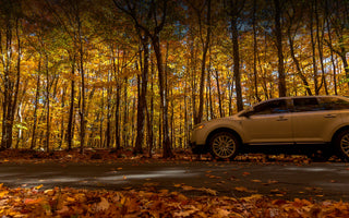 A Great Fall Drive