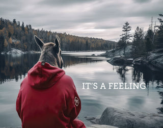 The Moose in the Hoodie