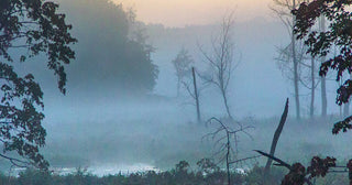 The Peepers - Pure Muskoka