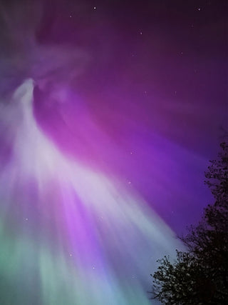 Aurora's in Muskoka - May 17, 2024 - Pure Muskoka