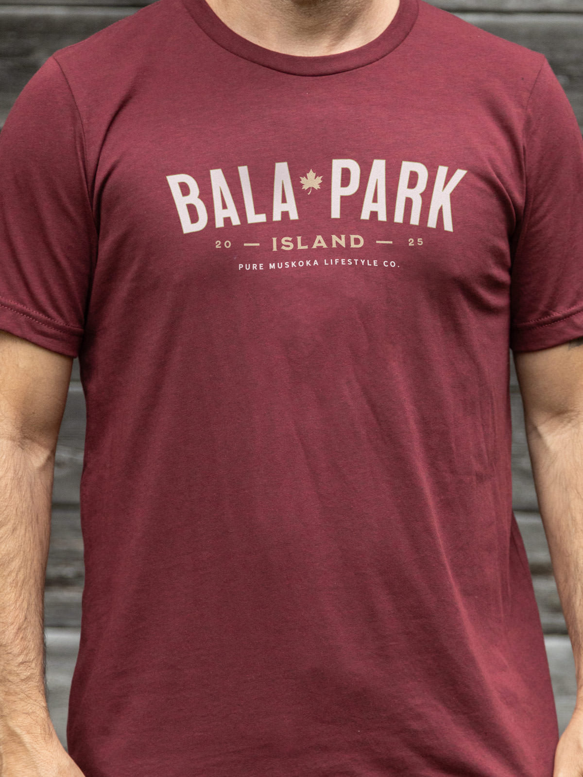 Bala Park Island T-Shirt