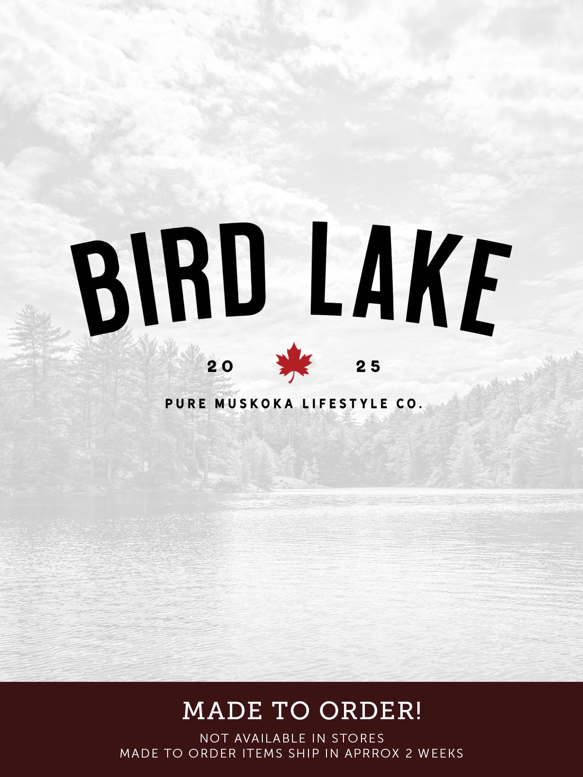 Bird Lake Hoodie