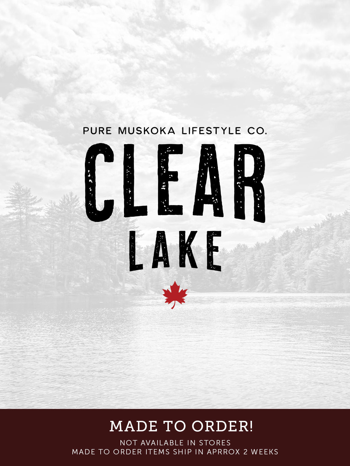 Clear Lake Hoodie