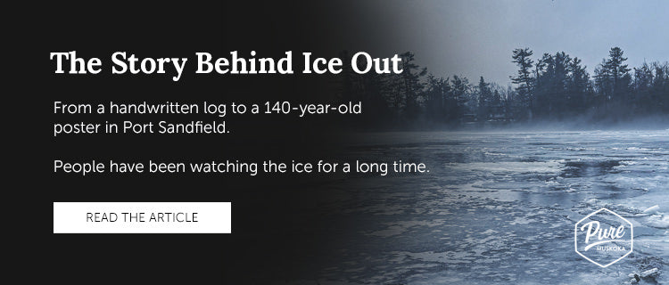 Ice OUt