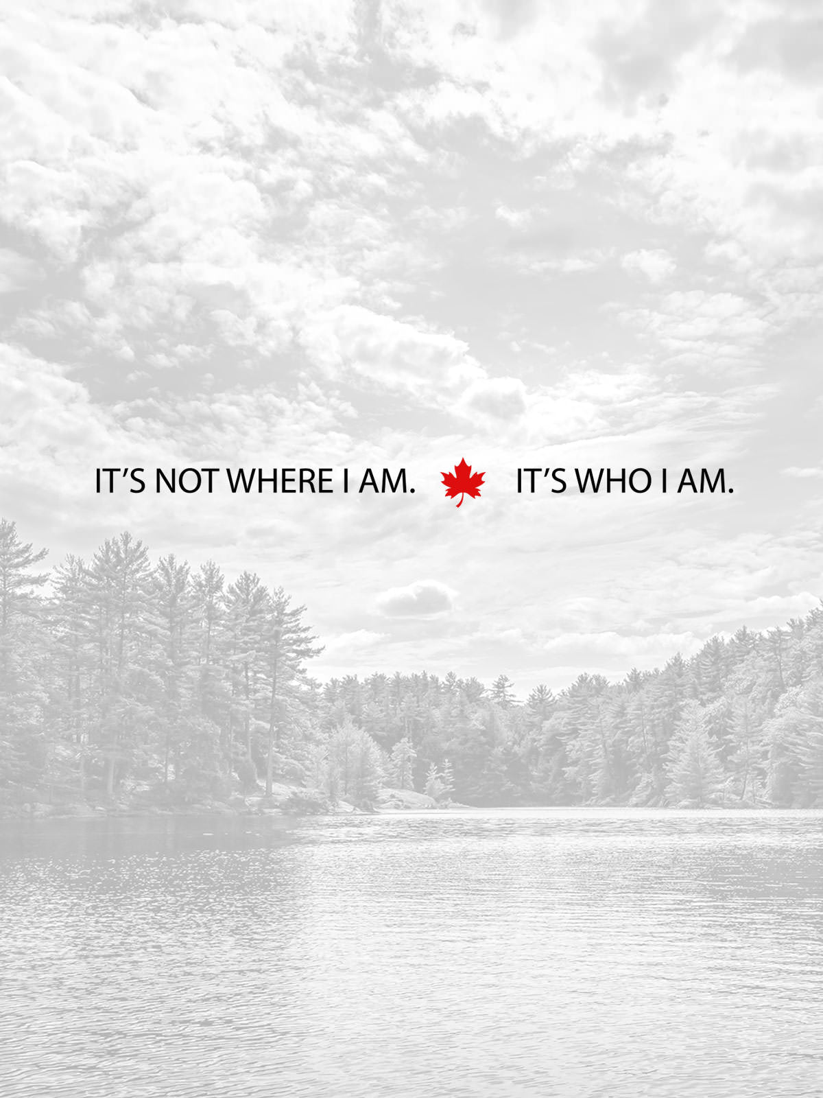 It's Who I Am T-Shirt