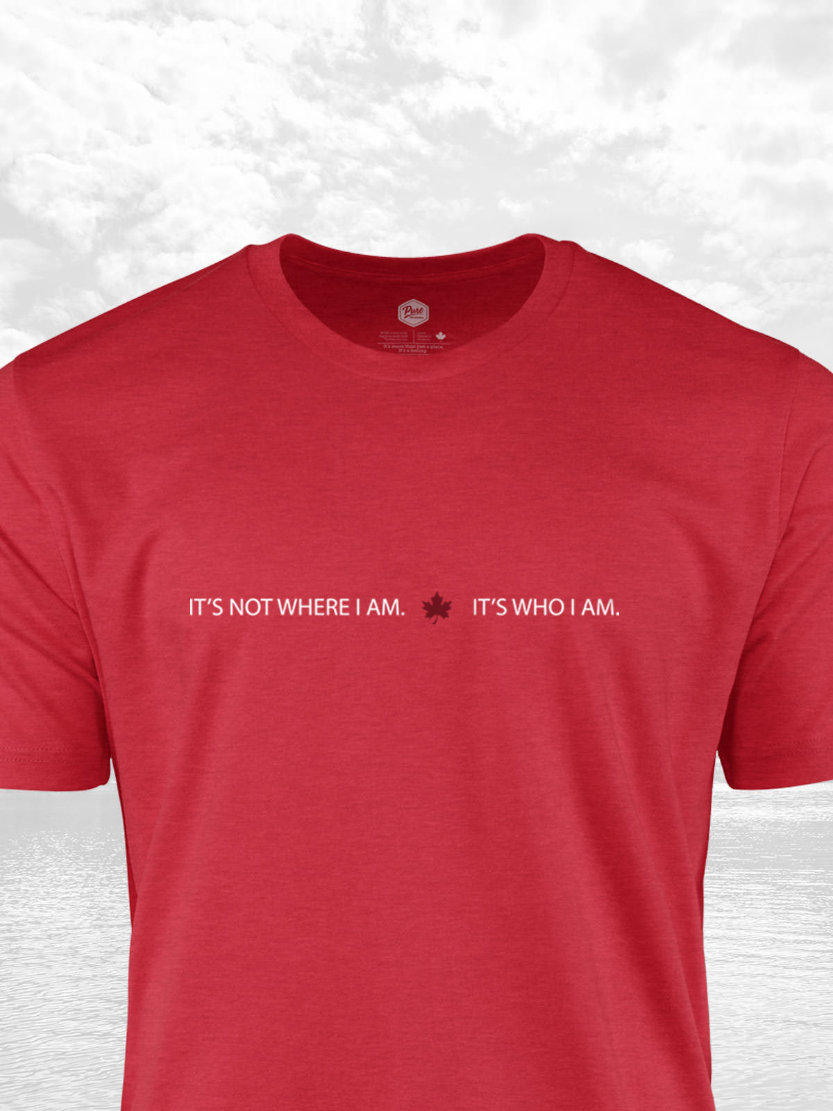 It's Who I Am T-Shirt