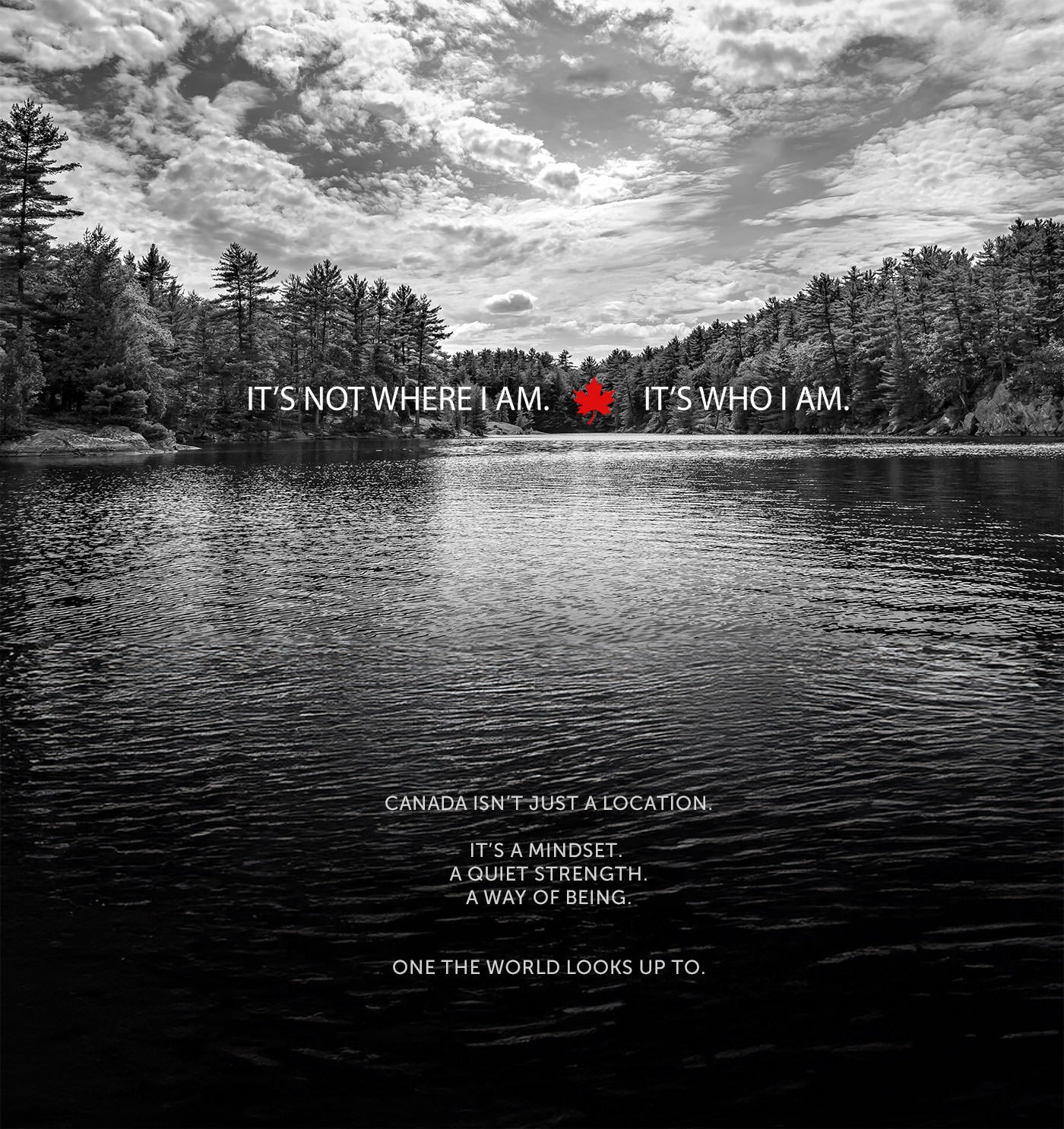 It's Who I Am Hoodie (Unisex)