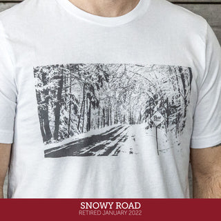 Snowy Road